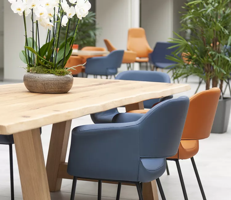 Studio M_WZC Avondzon_Interieurconcept_Interieurontwerp_Interieurarchitect