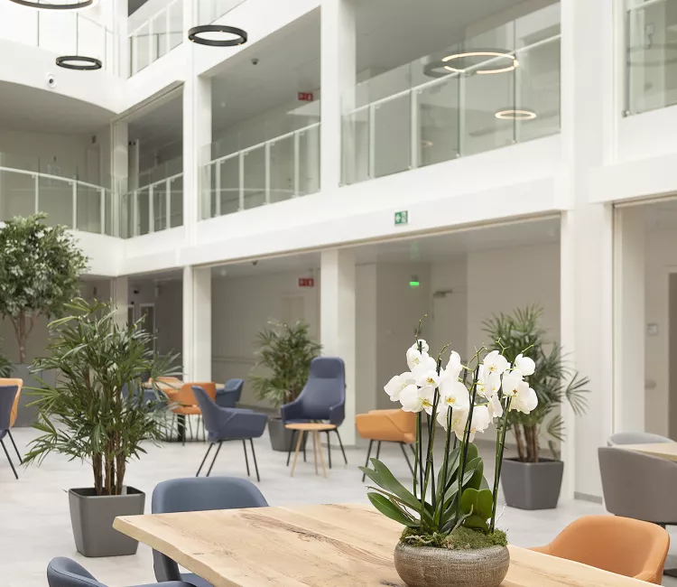 Studio M_WZC Avondzon_Interieurconcept_Interieurontwerp_Interieurarchitect